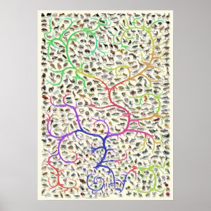 Baum des Lebens Darwinsche Theorie der Evolution P Poster