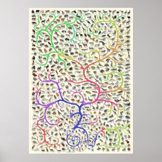 Baum des Lebens Darwinsche Theorie der Evolution P Poster