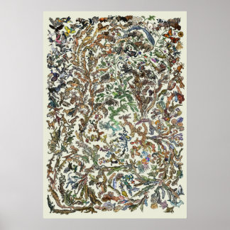 Baum des Lebens - Evolution Poster - Farbe