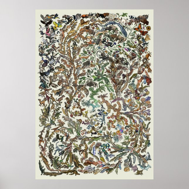 Baum des Lebens - Evolution Poster - Farbe (Vorne)