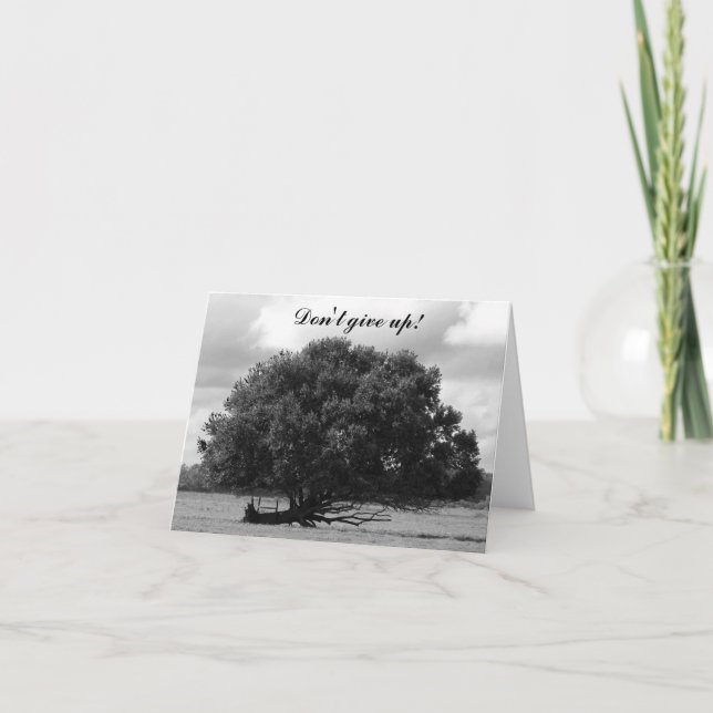 Baum des Lebens Karte (Vorderseite)