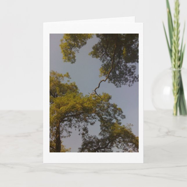 Baum des Lebens lebt lang u. erweitert sich Karte (Vorderseite)