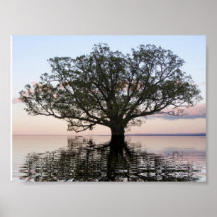 Baum des Lebens (Reflexionen) Poster