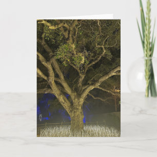 Baum des Lichts Grußkarte Karte