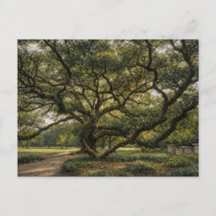 Baum des südlichen Lebens Live Oak Art Postkar Postkarte