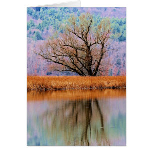 Baum des Überganges