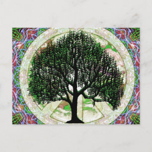 Baum des Wohlstands Postkarte