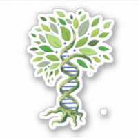 Baum DNA Genetik Biologie Umwelt