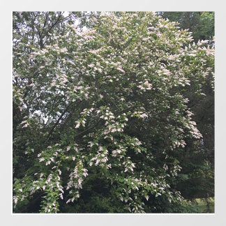 Baum Fensteraufkleber