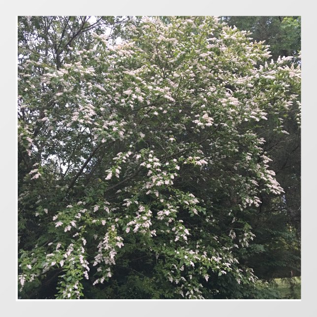 Baum Fensteraufkleber (Blatt)