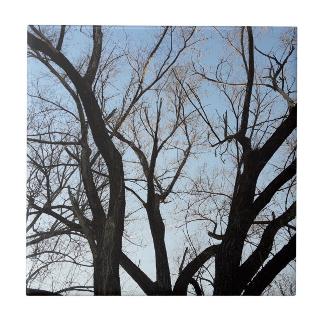 Baum Fliese (Vorderseite)