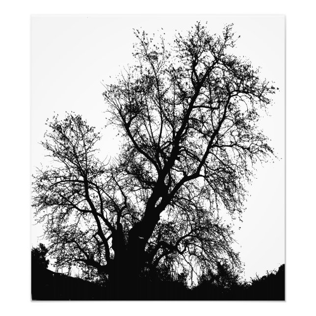 Baum Fotodruck (Vorne)