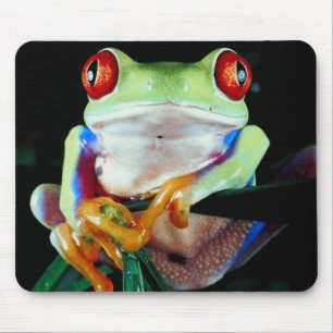 Baum-Frosch mousepad