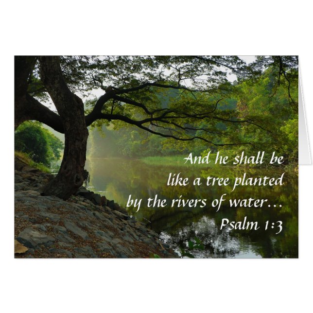 Baum gepflanzt mit Wasser, Psalm 1:3, Schrift (Vorderseite (Horizontal))