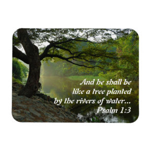 Baum gepflanzt mit Wasser, Psalm 1:3, Schrift Magnet
