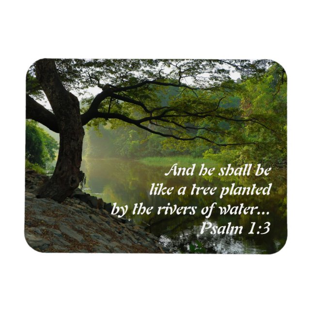 Baum gepflanzt mit Wasser, Psalm 1:3, Schrift Magnet (Horizontal)