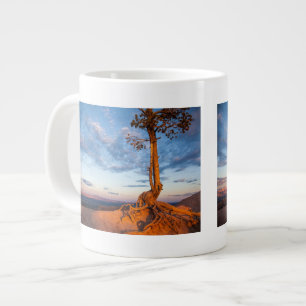 Baum haftet Leiste, Bryce Schlucht-Nationalpark an Jumbo-Tasse