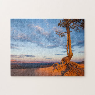 Baum haftet Leiste, Bryce Schlucht-Nationalpark an Puzzle