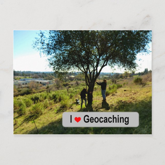 Baum-Hänger-Cache in Geocaching Postkarte (Vorderseite)