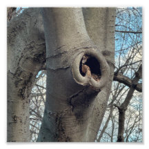 Baum Herz