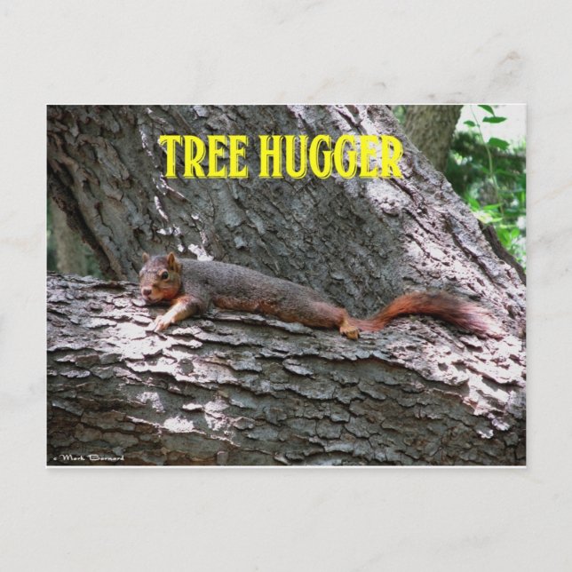 Baum Hugger! Postkarte (Vorderseite)