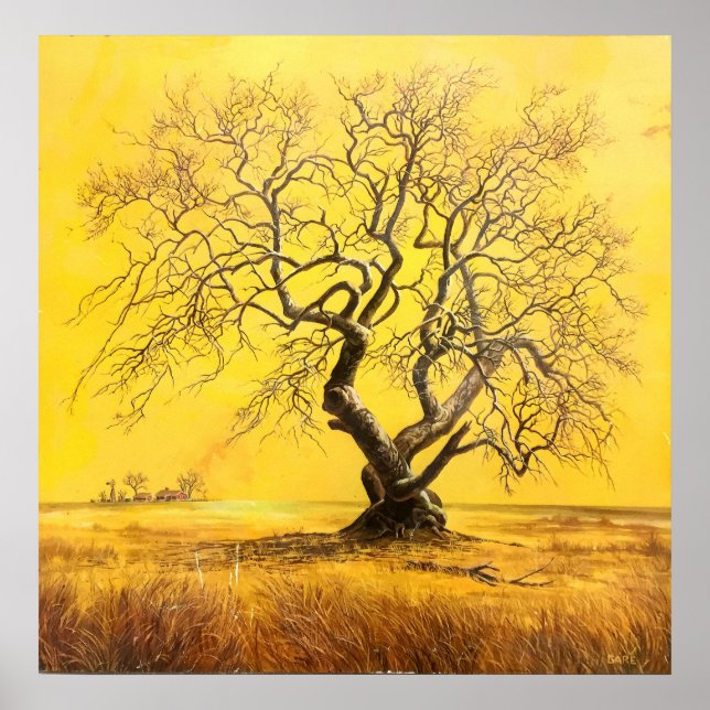 Baum im goldenen Licht Poster (Vorne)