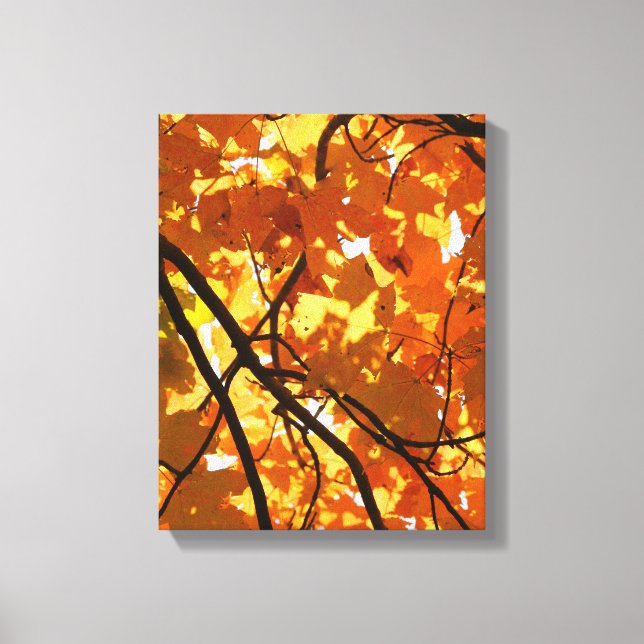 Baum im Herbst Leinwanddruck (Vorderseite)