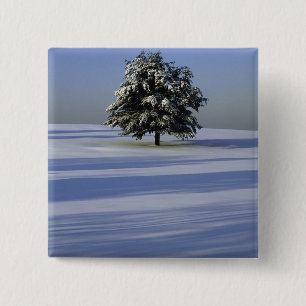 Baum im Schnee umfaßte Landschaft Button