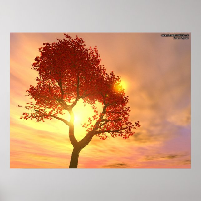 Baum im Sonnenuntergang Poster (Vorne)
