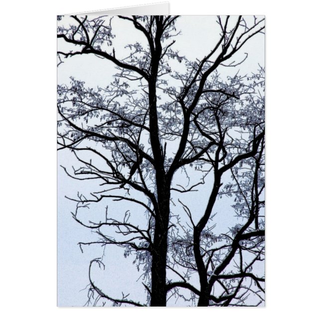 Baum im Winter (Vorne)