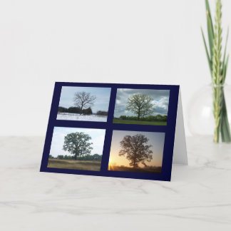 Baum in 4 Jahreszeiten Karte