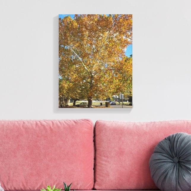 Baum in der goldenen Stunde Leinwanddruck (Insitu (Wohnzimmer))