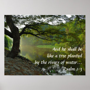 Baum in der Nähe des Wassers, Psalm 1:3, Schrift Poster