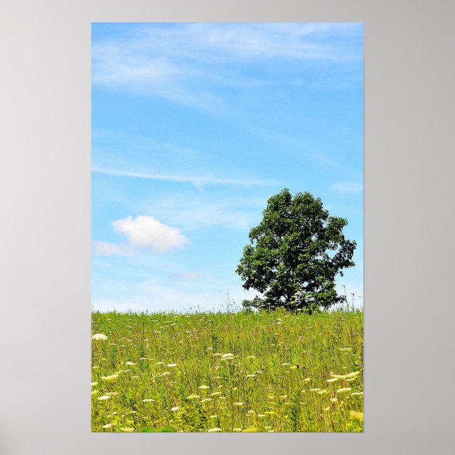 Baum in einem Feldposter Poster (Vorne)