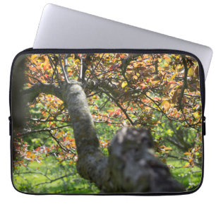 Baum in Herbstfotografie Laptopschutzhülle