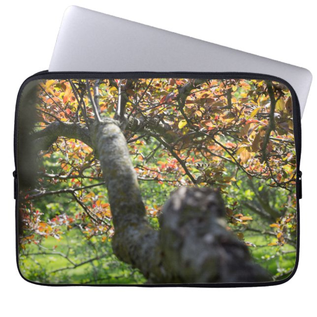 Baum in Herbstfotografie Laptopschutzhülle (Vorderseite)