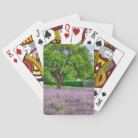 Baum in Lavender Field, Frankreich