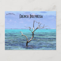 Baum in Mo'orea Französisch-Polynesien