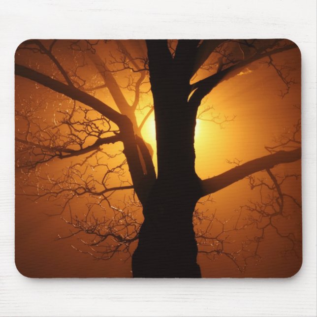 Baum in Nebel bei nächtlicher Mousepad (Vorne)