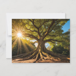 Baum in Sonnenstrahlen Postkarte