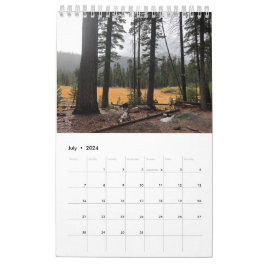 Baum Kalender