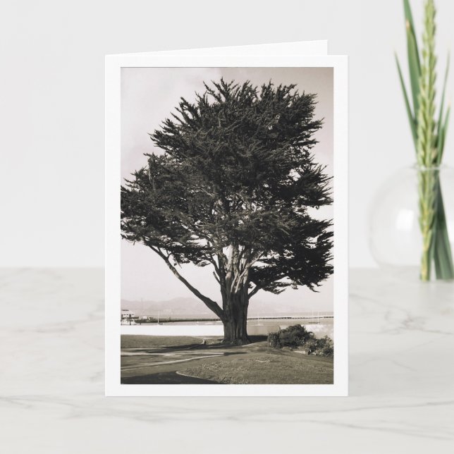 Baum Karte (Vorderseite)