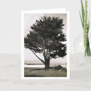 Baum Karte