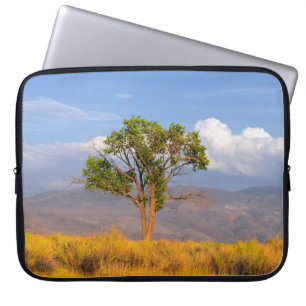Baum Laptopschutzhülle