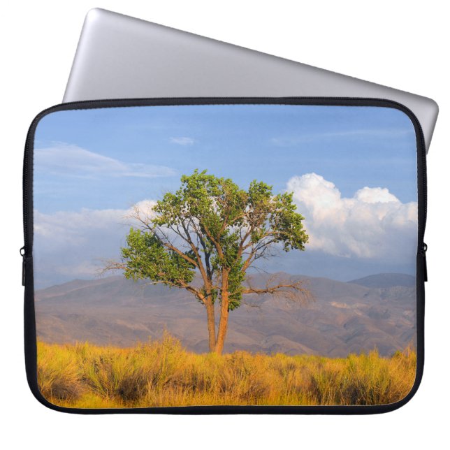 Baum Laptopschutzhülle (Vorderseite)