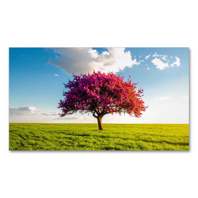 Baum Magnetische Visitenkarte (Vorderseite)