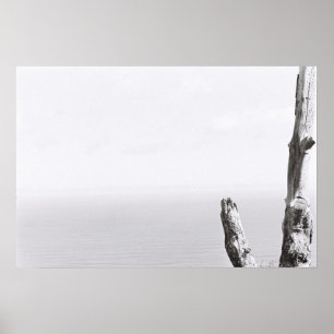 Baum Minimalistisches Monochromes Kodak-Filmplakat Poster