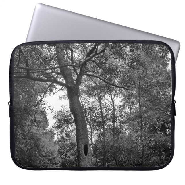Baum mit einem geheimnisvollen Loch Laptopschutzhülle (Vorderseite)