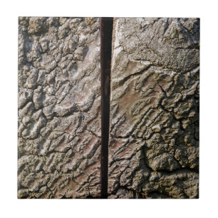 Baum mit Mittelschnitt Fliese