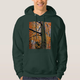 Baum mit orangefarbenen Blätter Hoodie